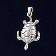 Charm Charm