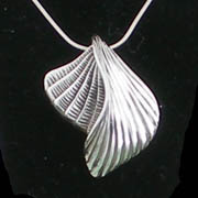 Scallop