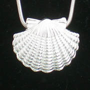 Scallop