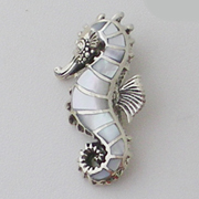 Sea Horse