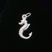 Sea Horse