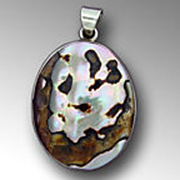 Shell Necklace