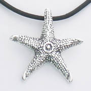 Star Fish