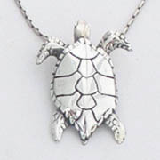 Sea Turtle